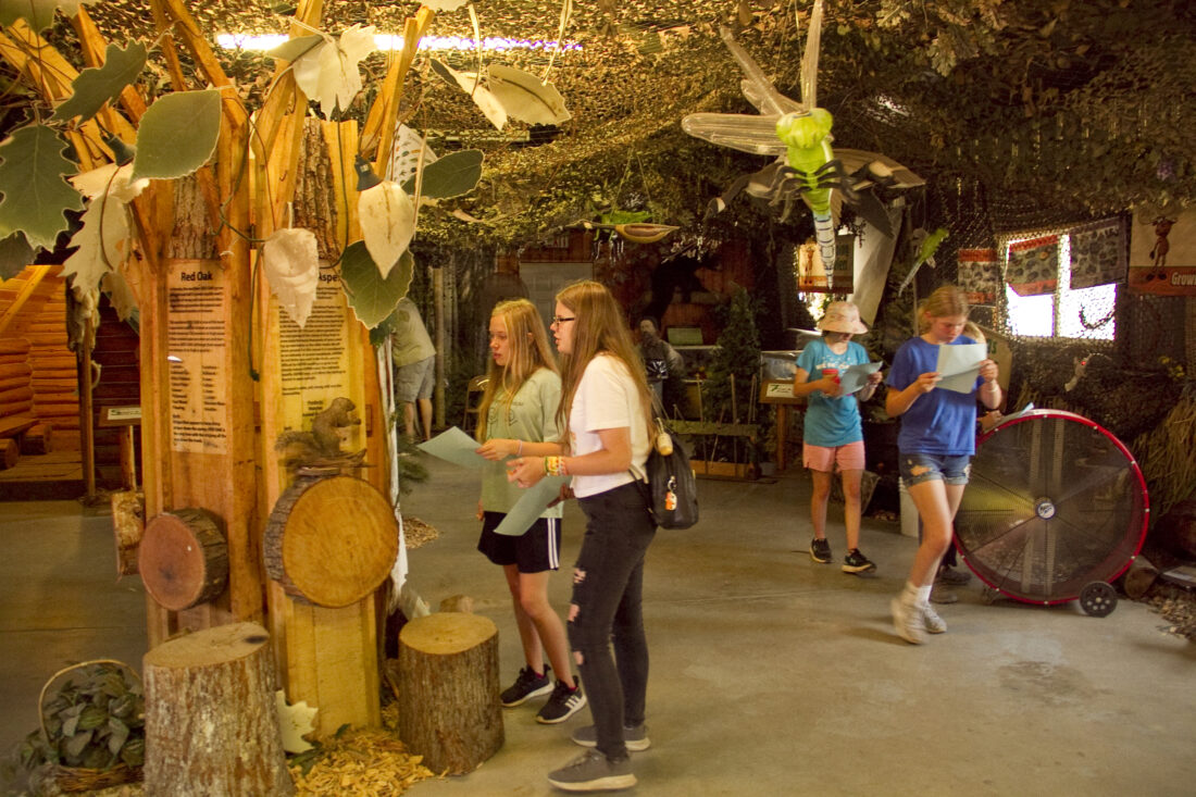 Exhibit helps unite the forest and youth | News, Sports, Jobs - Daily Press
